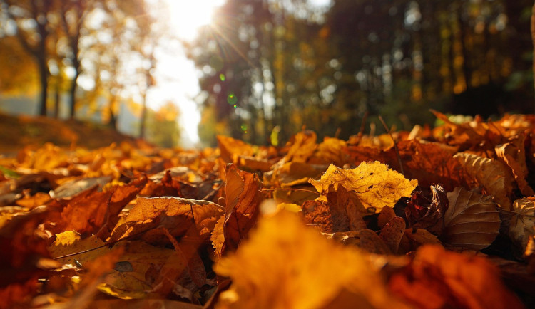 Česko čeká v týdnu babí léto, bude slunečno a 15 stupňů