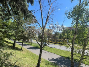 Obvod pokácí desítky stromů, jde hlavně o suché dřeviny, které ohrožují kolemjdoucí