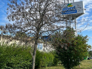 Obvod pokácí desítky stromů, jde hlavně o suché dřeviny, které ohrožují kolemjdoucí