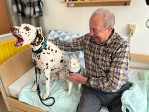 Klienti si užívají také návštěvy domácích mazlíčků nebo třeba poníků.