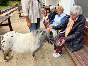 Klienti si užívají také návštěvy domácích mazlíčků nebo třeba poníků.