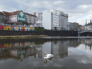 Obávaný Trenér se na zimu vrátil do svého teritoria. Útočit začne až na jaře