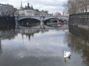 Obávaný Trenér se na zimu vrátil do svého teritoria. Útočit začne až na jaře