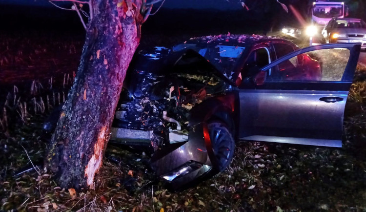 Po drtivém nárazu auta do stromu zahynul pes, mladá řidička utrpěla vážné zranění
