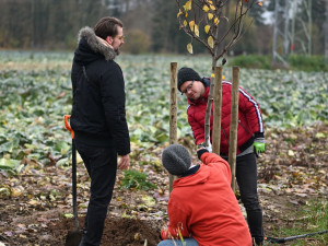 Muzikáloví herci vysázeli na břehu řeky Mže novou alej z ovocných stromů