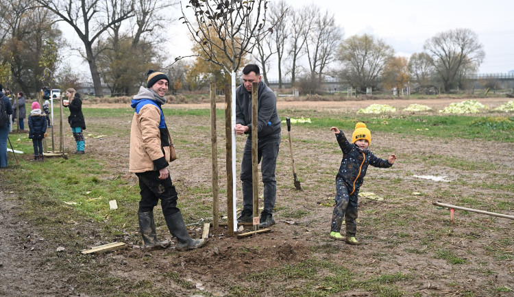 02_DJKT_2025_muzikalova_alej_foto_Milan_Svoboda_DSC_0604