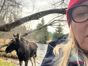 Na Šumavě už potkala vlka i losa Emila. Zbývá jí spatřit ještě rysa a tetřeva