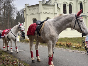 Jízdárna nabídne adventní prohlídky i vánoční trh