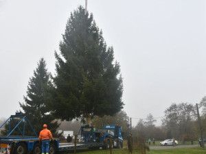 DSC_2195_fotoRadkaŽÁKOVÁ