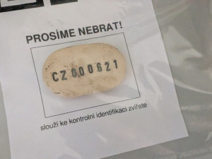 V Plzni vzniklo místo, kde se lidé mohou důstojně rozloučit se svými mazlíčky