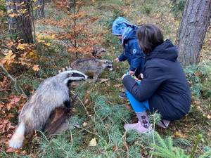 Dobrovolníci vysázeli v městském lese 4000 borovic