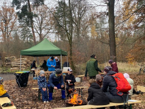Dobrovolníci vysázeli v městském lese 4000 borovic