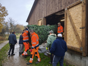 Originální plovoucí vánoční strom opět rozzáří hladinu Borské přehrady