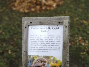 Hromádky listí a větviček poslouží ježkům jako zimoviště, připravil je centrální obvod