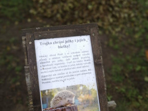 Hromádky listí a větviček poslouží ježkům jako zimoviště, připravil je centrální obvod