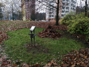 Hromádky listí a větviček poslouží ježkům jako zimoviště, připravil je centrální obvod