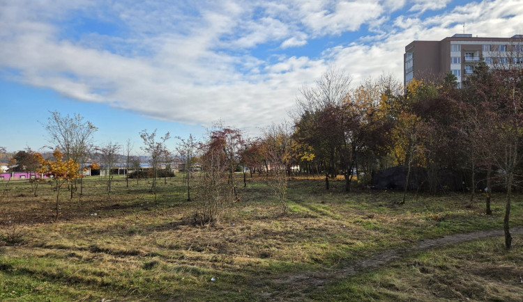 Lidé bez domova pomohli s úklidem zanedbaného prostranství ve Skvrňanech