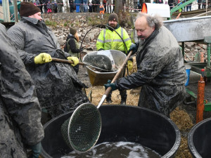 Začalo upouštění dvou rybníků v Bolevecké rybniční soustavě. Čeká je výlov i oprava