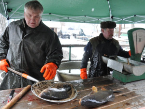 Začalo upouštění dvou rybníků v Bolevecké rybniční soustavě. Čeká je výlov i oprava