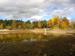 Začalo upouštění dvou rybníků v Bolevecké rybniční soustavě. Čeká je výlov i oprava