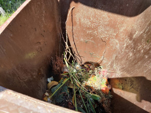 Město chce lepší bioodpad. Nabízí zdarma hnědé popelnice, platí se jen za svoz