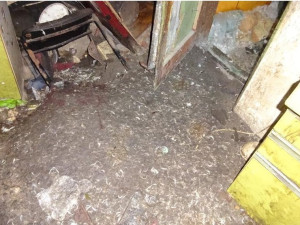 Podmínky v chovu v Nekmíři