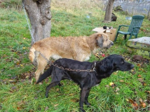 Podmínky v chovu v Nekmíři