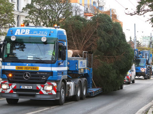 FOTO: Čtyřka už má na místě letošní vánoční strom. Podívejte se na jeho převoz