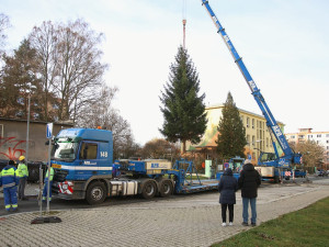 FOTO: Čtyřka už má na místě letošní vánoční strom. Podívejte se na jeho převoz