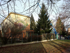 FOTO: Čtyřka už má na místě letošní vánoční strom. Podívejte se na jeho převoz