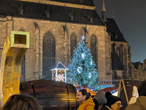Vánoční strom už září pod katedrálou, rozsvícení sledovalo zcela zaplněné náměstí
