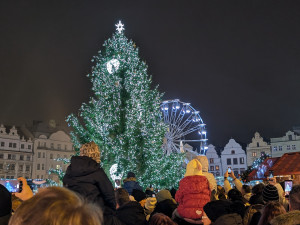 Vánoční strom už září pod katedrálou, rozsvícení sledovalo zcela zaplněné náměstí