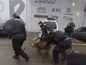 Divočák vtrhl mezi lidi do nákupního centra. Akční zákrok strážníků zachytila kamera