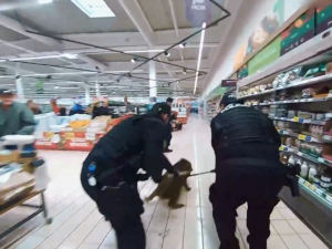 Divočák vtrhl mezi lidi do nákupního centra. Akční zákrok strážníků zachytila kamera