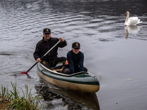 Podezření na ptačí chřipku se nepotvrdilo. Labuť na přehradě zabil náraz do překážky