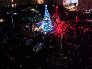 Strom v Klatovech, foto: Jiří Strašek