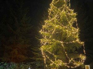 Spáleným lesem vede magická vánoční stezka. Končí u rozsvíceného stromu