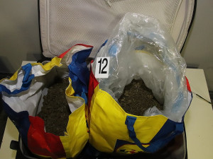 Obří úlovek. Policisté našli kilo kokainu, půl kila pervitinu, 20 kg konopí i zbraně