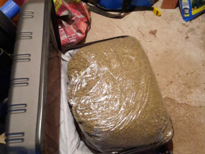 Obří úlovek. Policisté našli kilo kokainu, půl kila pervitinu, 20 kg konopí i zbraně