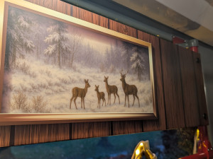 foto: Zuzana Duzbabová