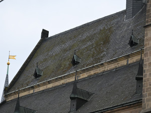 Katedrálu sv. Bartoloměje obežene lešení, střecha potřebuje nutně opravu