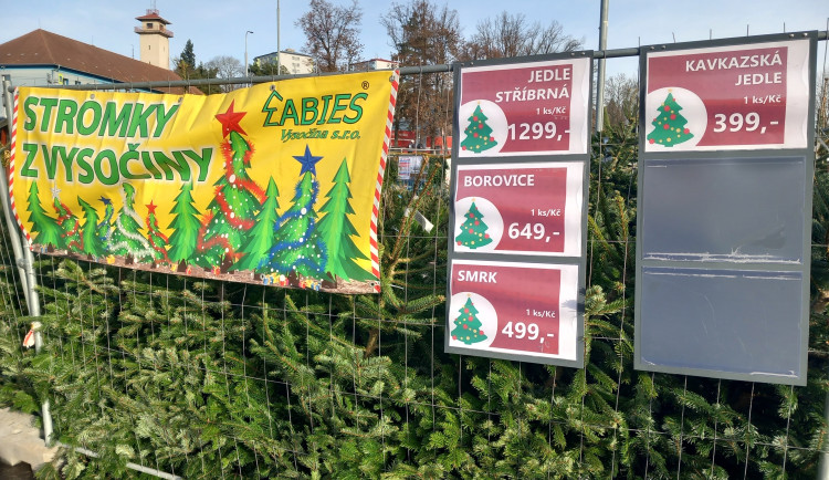 Vánoční stromek se dá v Jihlavě koupit za pár stovek, lidé do lesa s pilkou nechodí