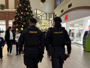 Při obří noční šťáře v Plzni policisté zkontrolovali 1300 osob. Z toho 828 cizinců