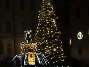Stromek v Tachově, foto: Infocentrum Tachov