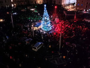 Strom v Klatovech, foto: Jiří Strašek