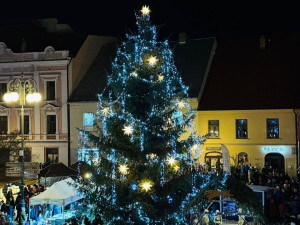 Strom v Rokycanech, foto: Město Rokycany