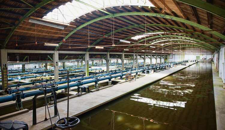 Světový unikát budovy Puech-Chabalovy filtrace vody se dočká obnovy za 180 milionů