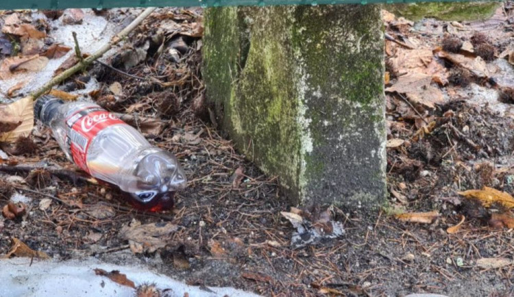 O Vánocích neplýtvejte jídlem, přikrmujete potkany, varuje olomoucká radnice