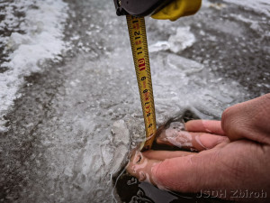 Znepokojivé měření hasičů. Led na rybnících je stále tenký, bruslení je nebezpečné