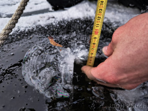 Znepokojivé měření hasičů. Led na rybnících je stále tenký, bruslení je nebezpečné